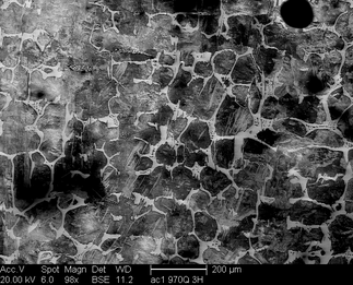 /static/micrographs/micrograph1603.png