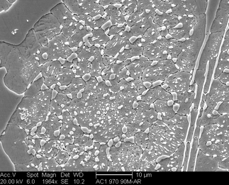 /static/micrographs/micrograph1607.png