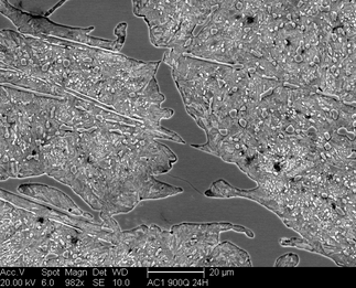 /static/micrographs/micrograph1608.png