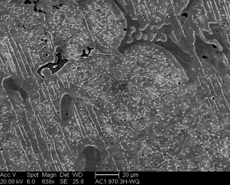 /static/micrographs/micrograph1610.png
