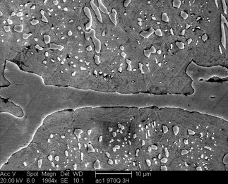 /static/micrographs/micrograph1611.png