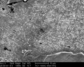 /static/micrographs/micrograph1613.png