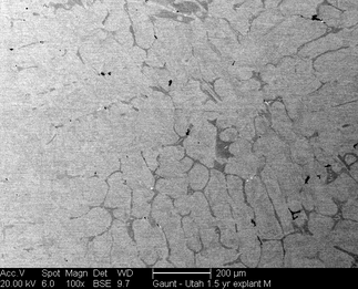 /static/micrographs/micrograph1615.png