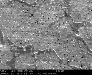 /static/micrographs/micrograph162.png