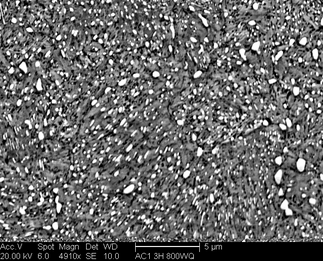 /static/micrographs/micrograph1623.png