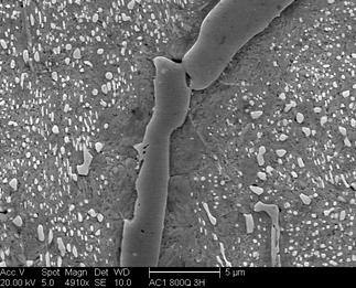 /static/micrographs/micrograph1624.png