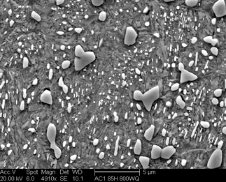 /static/micrographs/micrograph1626.png