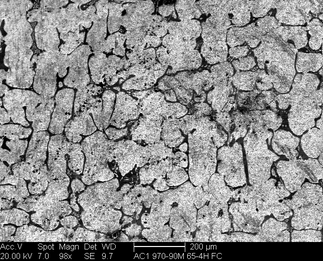 /static/micrographs/micrograph1627.png