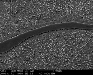 /static/micrographs/micrograph1634.png