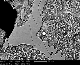 /static/micrographs/micrograph1635.png