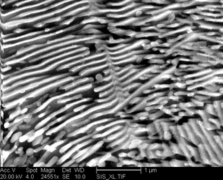 /static/micrographs/micrograph1638.png