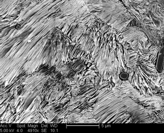 /static/micrographs/micrograph1639.png