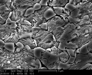 /static/micrographs/micrograph1643.png