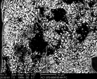 /static/micrographs/micrograph1644.png