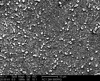 /static/micrographs/micrograph1645.png