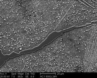 /static/micrographs/micrograph1648.png