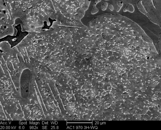 /static/micrographs/micrograph1651.png