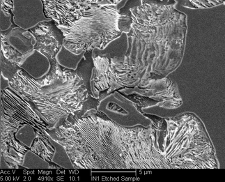 /static/micrographs/micrograph1654.png