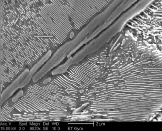 /static/micrographs/micrograph1655.png
