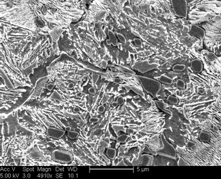 /static/micrographs/micrograph1656.png