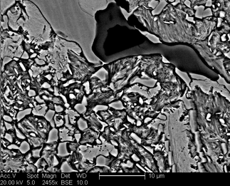 /static/micrographs/micrograph1657.png