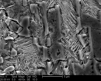 /static/micrographs/micrograph166.png