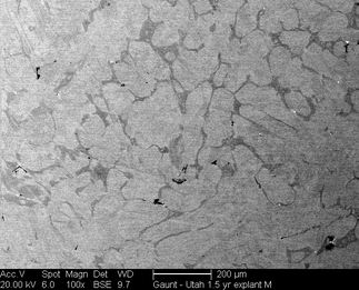 /static/micrographs/micrograph1661.png
