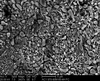 /static/micrographs/micrograph1662.png