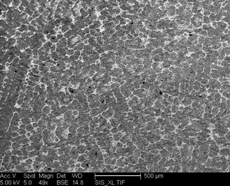 /static/micrographs/micrograph1666.png