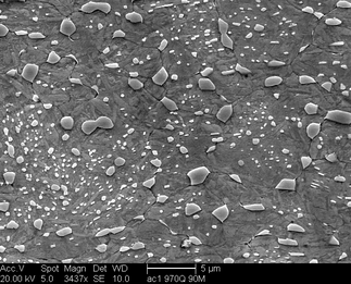 /static/micrographs/micrograph1667.png
