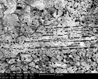 /static/micrographs/micrograph1668.png