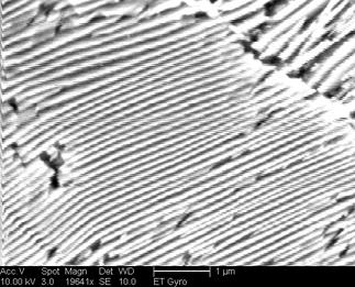 /static/micrographs/micrograph1671.png