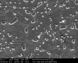 /static/micrographs/micrograph1672.png