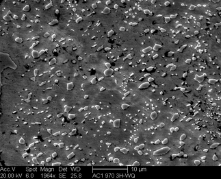 /static/micrographs/micrograph1677.png