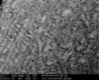 /static/micrographs/micrograph168.png
