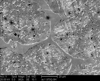 /static/micrographs/micrograph1682.png