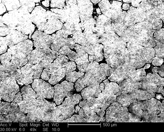 /static/micrographs/micrograph1683.png
