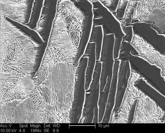 /static/micrographs/micrograph1684.png