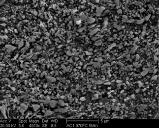 /static/micrographs/micrograph1686.png