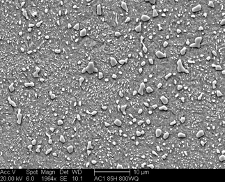 /static/micrographs/micrograph1689.png