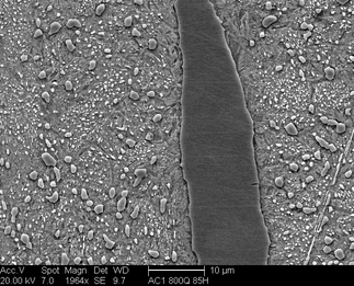 /static/micrographs/micrograph169.png