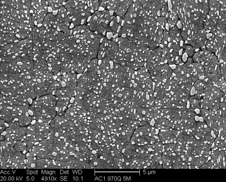 /static/micrographs/micrograph1694.png