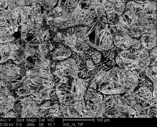 /static/micrographs/micrograph1697.png