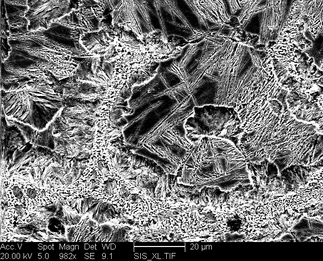 /static/micrographs/micrograph1700.png