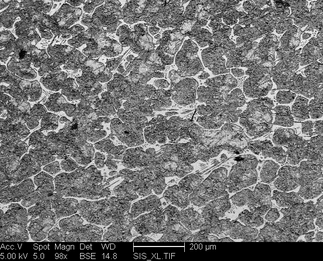 /static/micrographs/micrograph1702.png