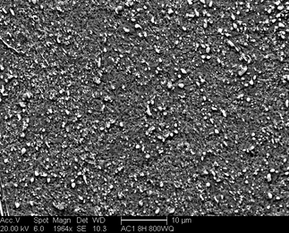 /static/micrographs/micrograph1707.png