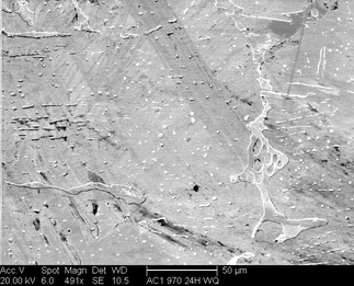 /static/micrographs/micrograph171.png