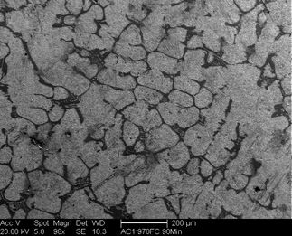 /static/micrographs/micrograph1710.png