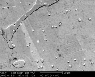 /static/micrographs/micrograph1712.png