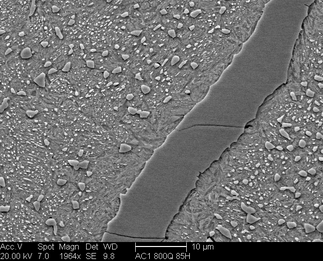 /static/micrographs/micrograph1716.png